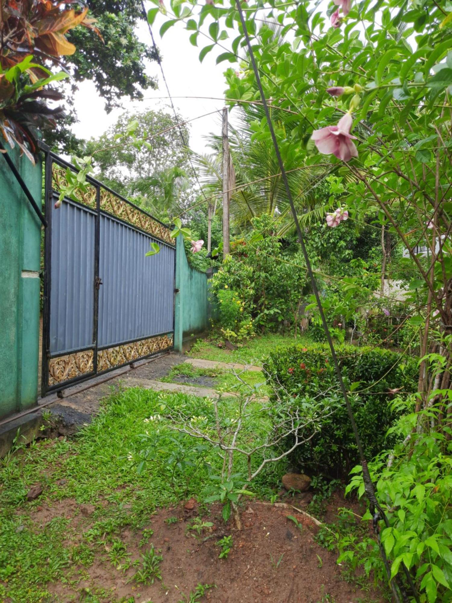 Natural Cozy Guest Homestay Mirissa